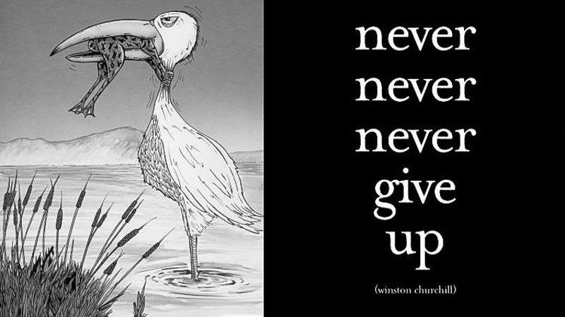 Read more about the article 2013 Never give up
