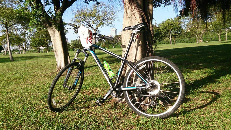 Read more about the article 2013 選擇