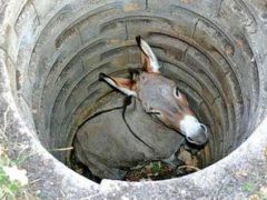 2013 分享夢想販售專門店的相片