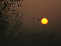 2013 爹不疼娘不愛的案子