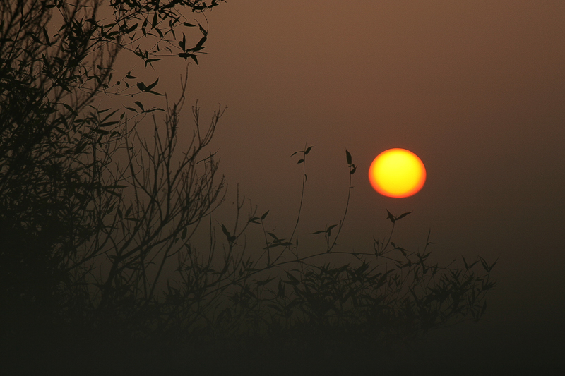 Read more about the article 2013 爹不疼娘不愛的案子