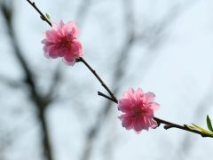 2013 另一個案子 收尾