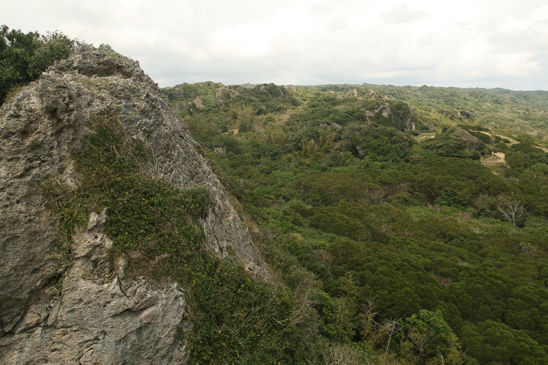 Read more about the article 2013 心境突破 能力待突破