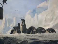 ﻿2013 台科大同學會