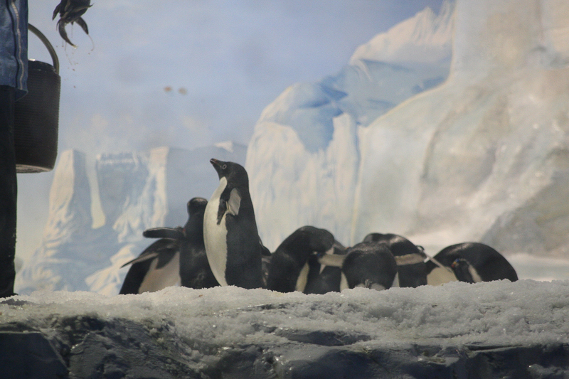 Read more about the article ﻿﻿2013 台科大同學會