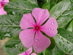 2014 母親節快樂