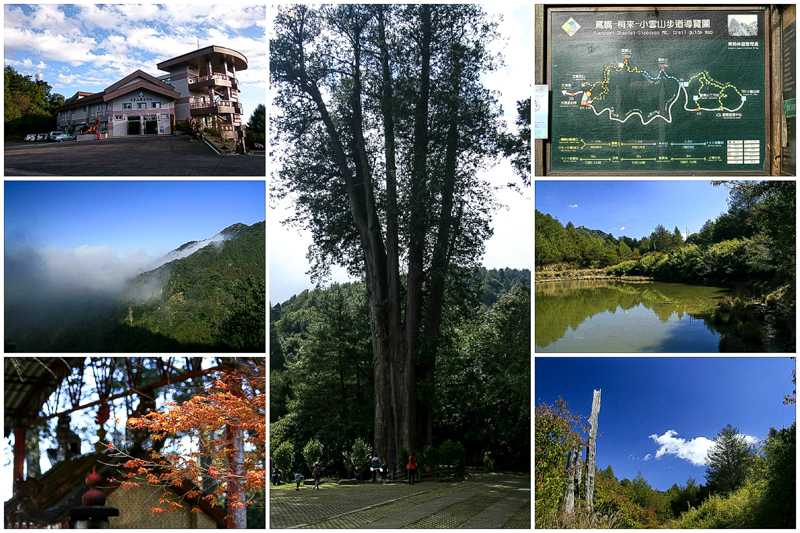 Read more about the article 2015 大雪山國家森林遊樂區之旅（上） – 20150228