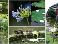 2015 植物園之旅 20150523
