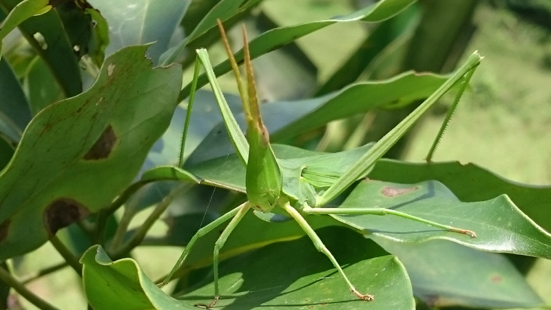 Read more about the article 2015 風暴後觀察（IV） – 蟄伏